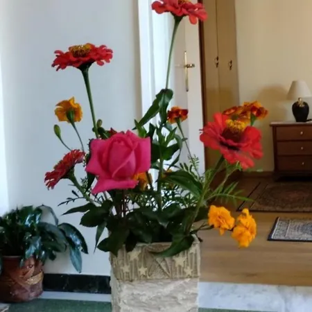 Tanias Apartament Siatista