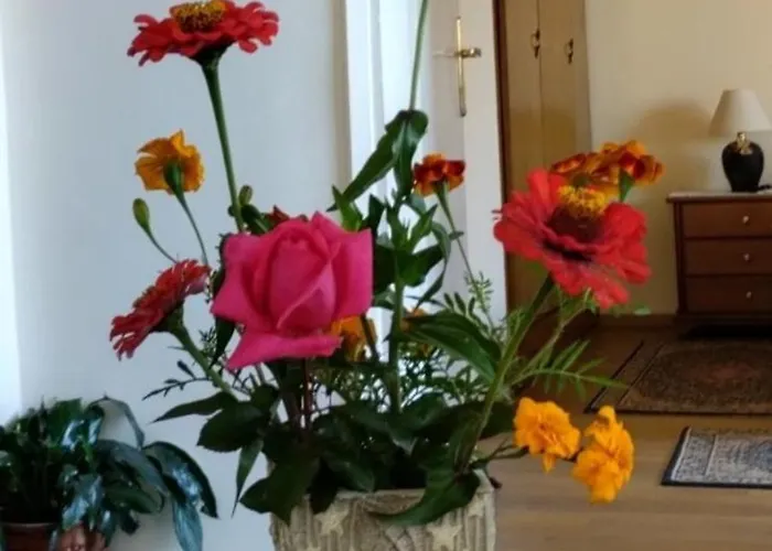 Tanias Appartement Siatista